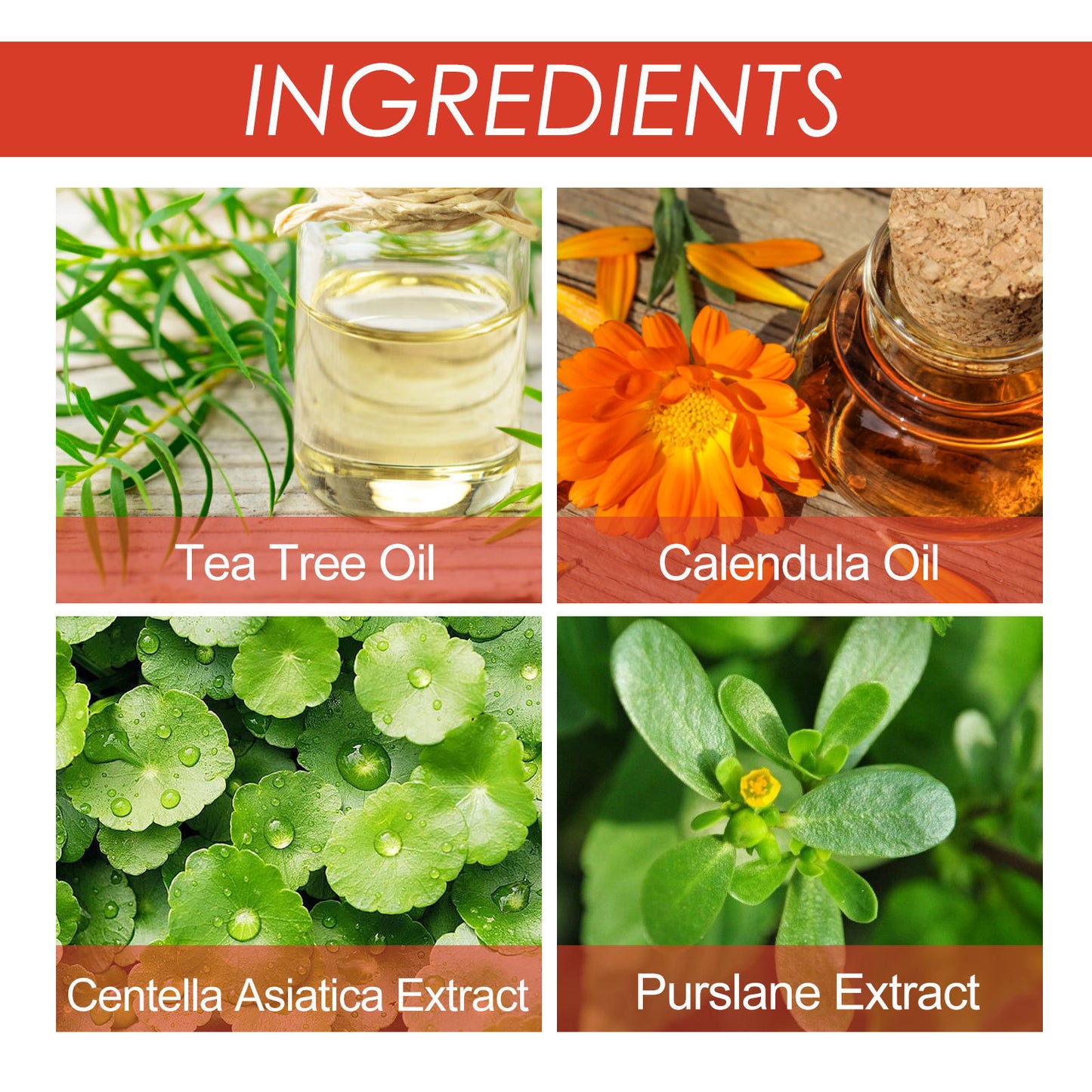 🔥 Last Day: 60% OFF ⏰ CVREOZ® Microneedle Botanic Skin Tag Removal Patch